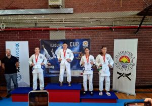 20251018_153341_result